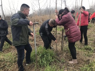 到精准扶贫联系点剅河镇汪场村植树造林